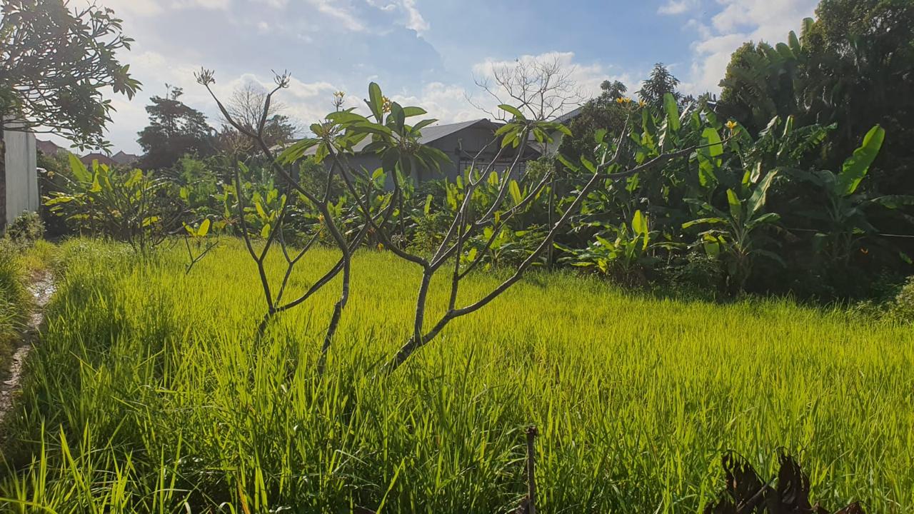 Canggu