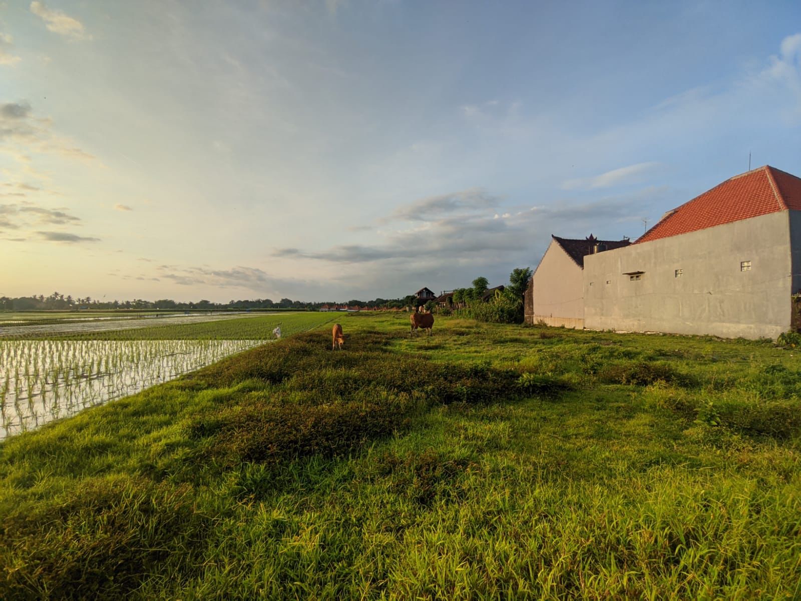 Nyitdah, Tabanan