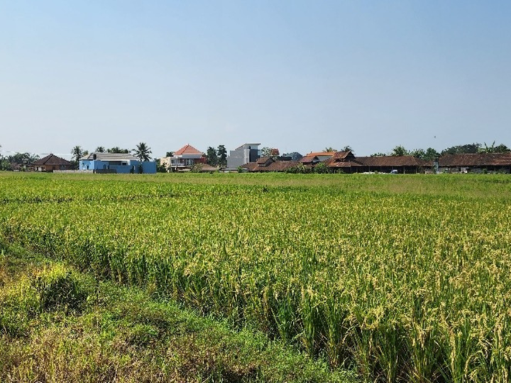 Nyitdah, Tabanan