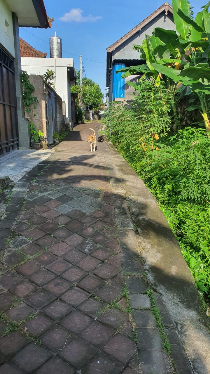 Canggu