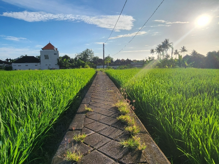 Buduk, Tuka