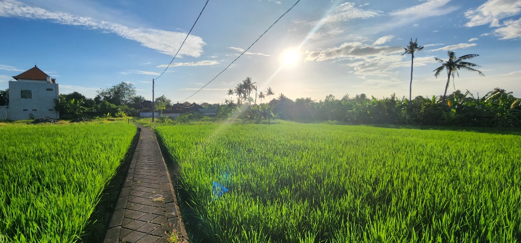 Buduk, Tuka