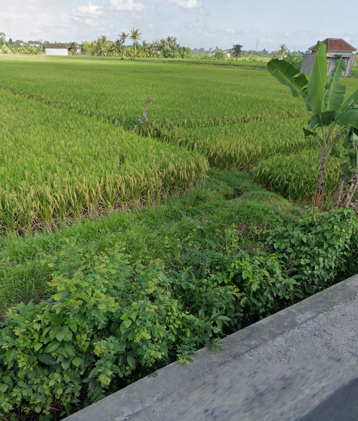 Tabanan