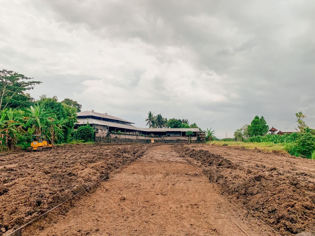 Sukawati, Gianyar